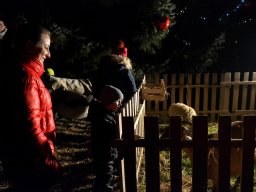 Rozsvícení vánočního stromečku